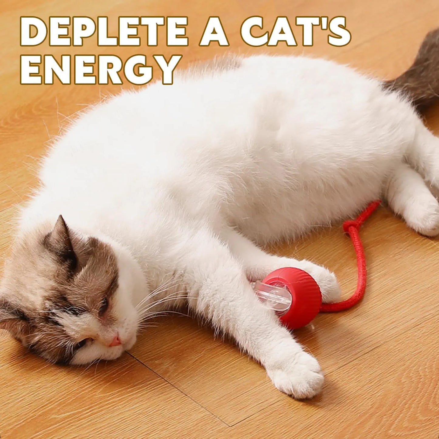 Interactive Pet Toy Ball for Indoor Cats and Dogs - Smart Rolling Ball for Engaging Play (Red)