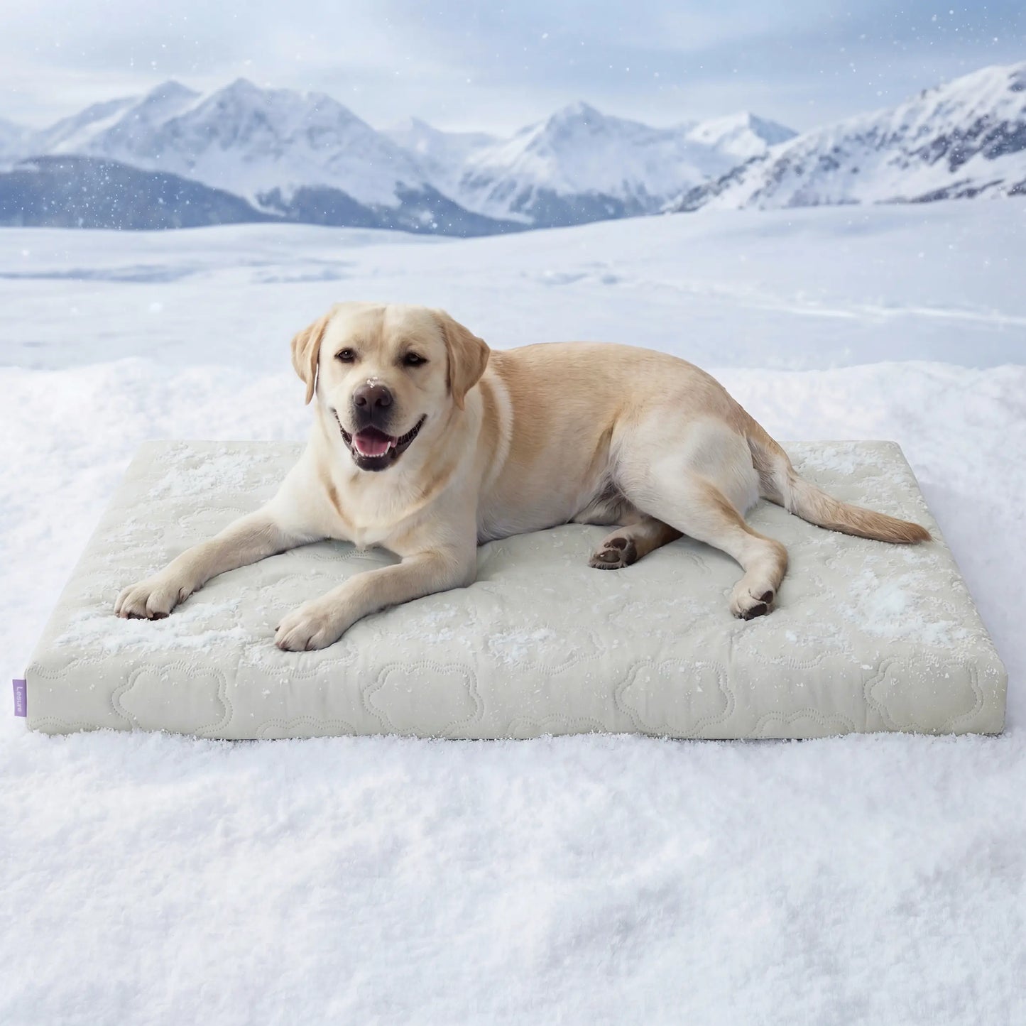 Bedsure Dog Cooling Mat - Q-MAX>0.4 Washable Non-Slip Summer Bed for Large Dogs, Gel-Free and Electric-Free