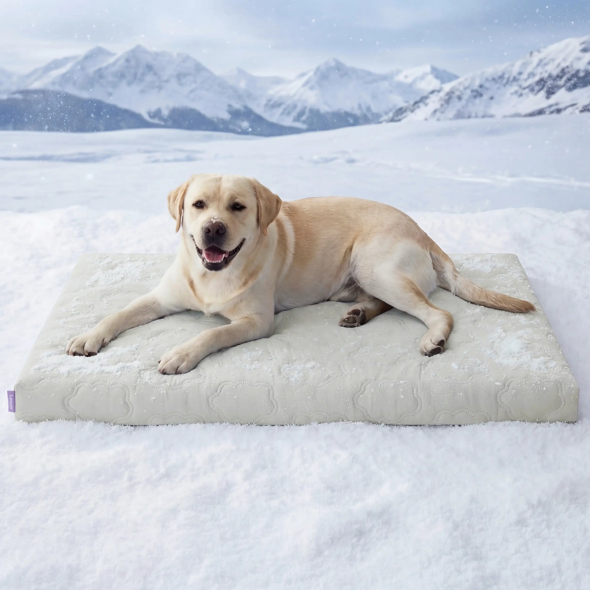 Bedsure Dog Cooling Mat - Q-MAX>0.4 Washable Non-Slip Summer Bed for Large Dogs, Gel-Free and Electric-Free
