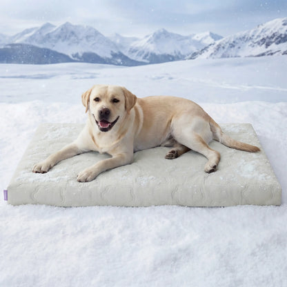 Bedsure Dog Cooling Mat - Q-MAX>0.4 Washable Non-Slip Summer Bed for Large Dogs, Gel-Free and Electric-Free