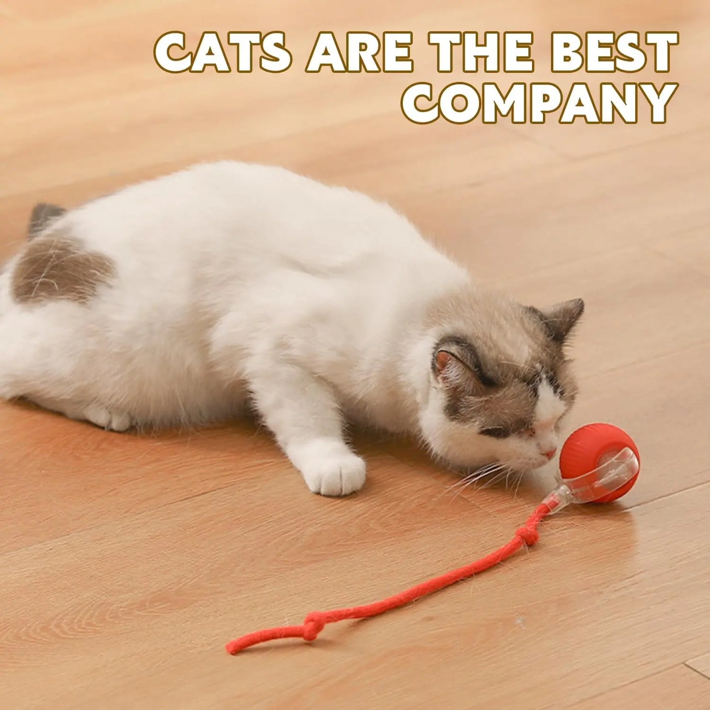 Interactive Pet Toy Ball for Indoor Cats and Dogs - Smart Rolling Ball for Engaging Play (Red)