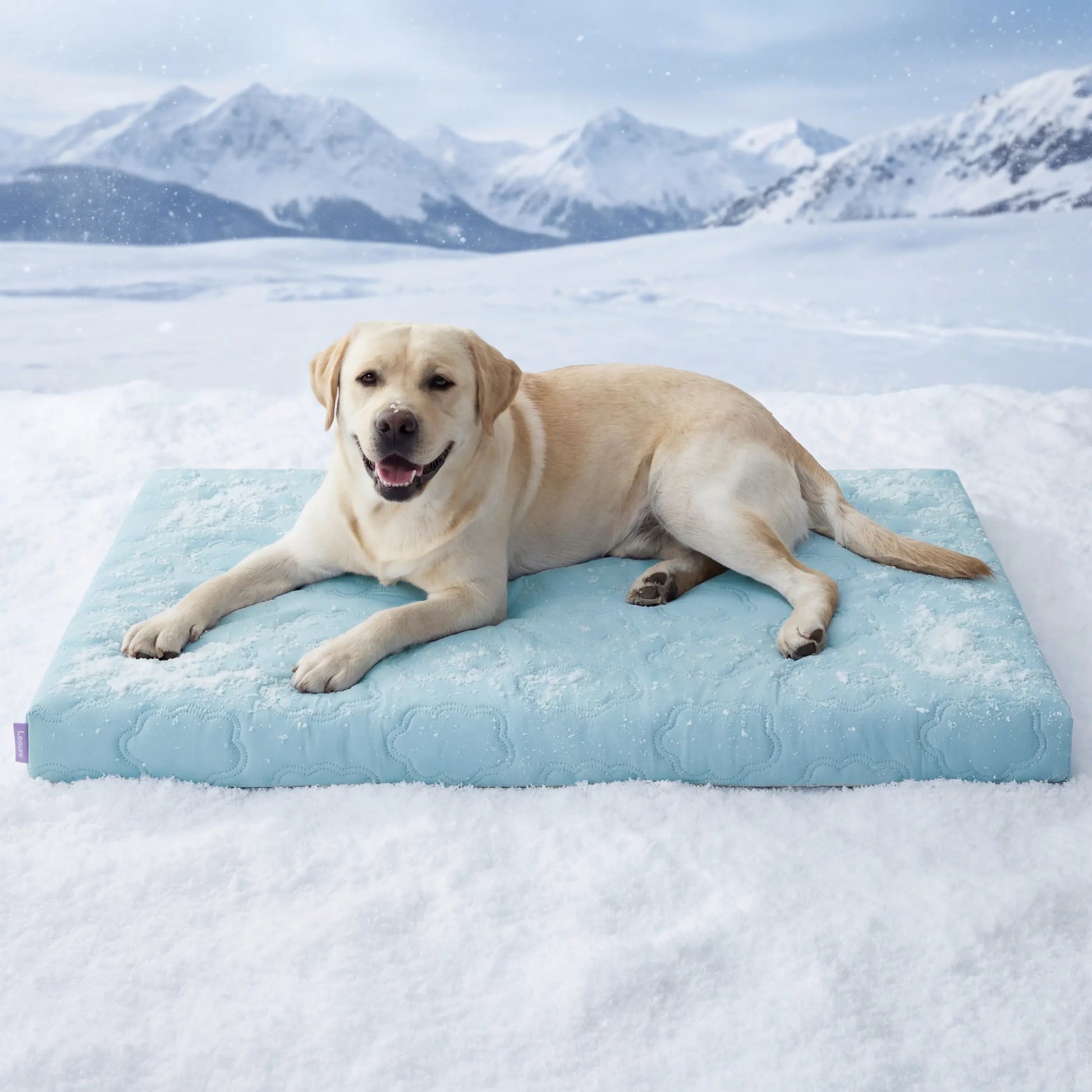Bedsure Dog Cooling Mat - Q-MAX>0.4 Washable Non-Slip Summer Bed for Large Dogs, Gel-Free and Electric-Free