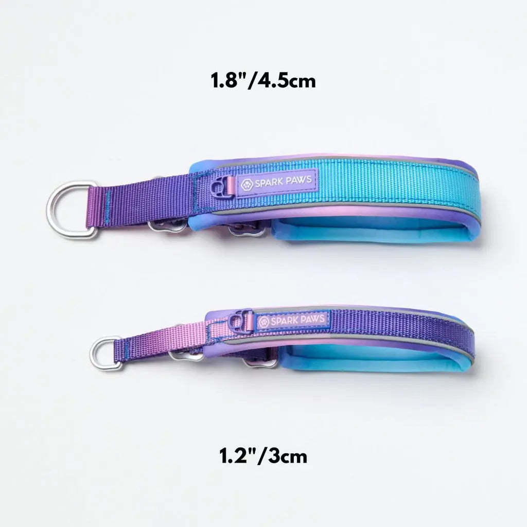 Spark Paws Martingale Dog Collar – Cushioned Slip-On Training Collar, Heavy Duty, Safety-Tested No-Buckle Collar for Medium & Large Dogs