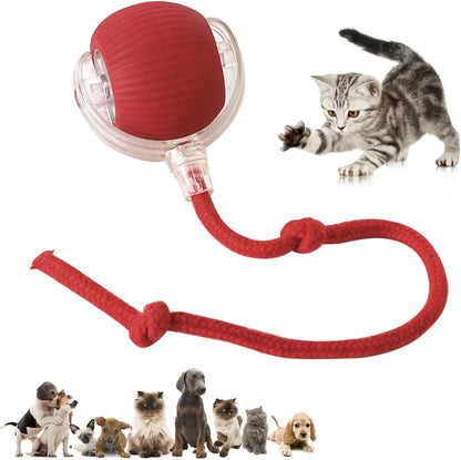 Interactive Pet Toy Ball for Indoor Cats and Dogs - Smart Rolling Ball for Engaging Play (Red)