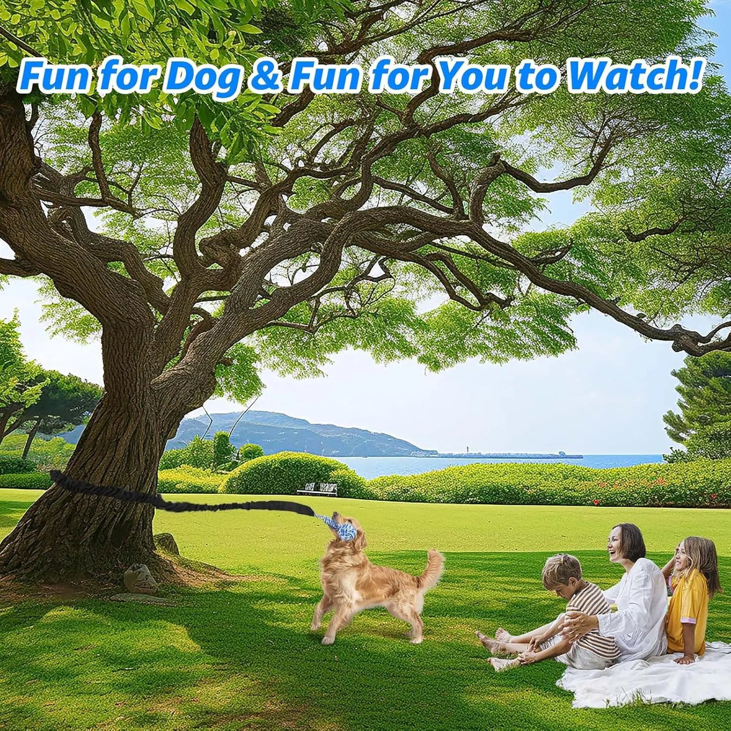 Spring Pole Rope Toys for Medium to Large Dogs - Interactive Tug of War Bungee Exercise Ropes for Indoor and Outdoor Use (Door Style)