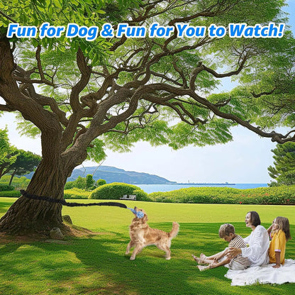 Spring Pole Rope Toys for Medium to Large Dogs - Interactive Tug of War Bungee Exercise Ropes for Indoor and Outdoor Use (Door Style)
