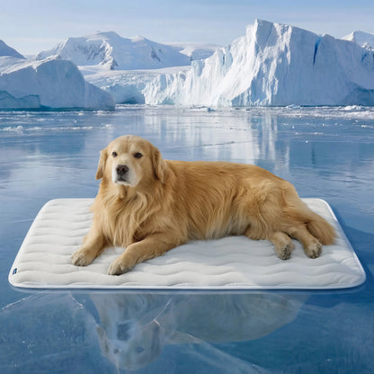 Bedsure Dog Cooling Mat - Q-MAX>0.4 Washable Non-Slip Summer Bed for Large Dogs, Gel-Free and Electric-Free