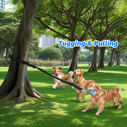 Spring Pole Rope Toys for Medium to Large Dogs - Interactive Tug of War Bungee Exercise Ropes for Indoor and Outdoor Use (Door Style)