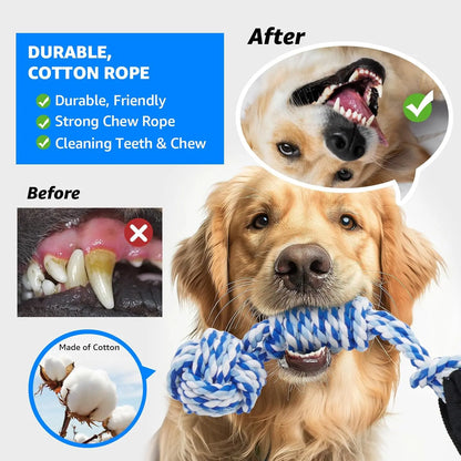Spring Pole Rope Toys for Medium to Large Dogs - Interactive Tug of War Bungee Exercise Ropes for Indoor and Outdoor Use (Door Style)